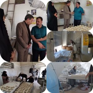 بازدید بخشدار طغرالجرد از نانوایی های بخش